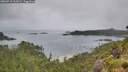 ./images/calvert/foggy-cove/20260718/foggy-cove20260718_112002M.jpg
