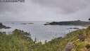./images/calvert/foggy-cove/20260718/foggy-cove20260718_112502M.jpg