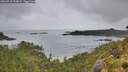 ./images/calvert/foggy-cove/20260718/foggy-cove20260718_113002M.jpg