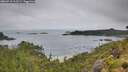 ./images/calvert/foggy-cove/20260718/foggy-cove20260718_113501M.jpg
