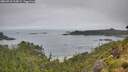 ./images/calvert/foggy-cove/20260718/foggy-cove20260718_114502M.jpg