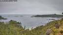 ./images/calvert/foggy-cove/20260718/foggy-cove20260718_115001M.jpg