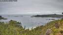 ./images/calvert/foggy-cove/20260718/foggy-cove20260718_120001M.jpg