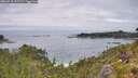 ./images/calvert/foggy-cove/20260718/foggy-cove20260718_131501M.jpg