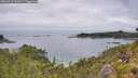 ./images/calvert/foggy-cove/20260718/foggy-cove20260718_132002M.jpg