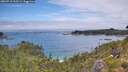 ./images/calvert/foggy-cove/20260718/foggy-cove20260718_135501M.jpg