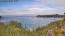 ./images/calvert/foggy-cove/20260718/foggy-cove20260718_140001M.jpg