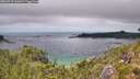 ./images/calvert/foggy-cove/20260718/foggy-cove20260718_142001M.jpg