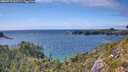 ./images/calvert/foggy-cove/20260718/foggy-cove20260718_162501M.jpg