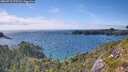 ./images/calvert/foggy-cove/20260718/foggy-cove20260718_170501M.jpg
