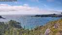 ./images/calvert/foggy-cove/20260718/foggy-cove20260718_171501M.jpg