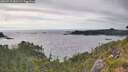 ./images/calvert/foggy-cove/20260718/foggy-cove20260718_181501M.jpg