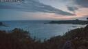 ./images/calvert/foggy-cove/20260719/foggy-cove20260719_050502M.jpg