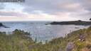 ./images/calvert/foggy-cove/20260719/foggy-cove20260719_061501M.jpg