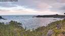 ./images/calvert/foggy-cove/20260719/foggy-cove20260719_062001M.jpg