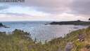 ./images/calvert/foggy-cove/20260719/foggy-cove20260719_062501M.jpg