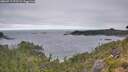 ./images/calvert/foggy-cove/20260719/foggy-cove20260719_073501M.jpg