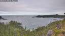 ./images/calvert/foggy-cove/20260719/foggy-cove20260719_074501M.jpg