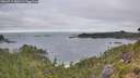 ./images/calvert/foggy-cove/20260719/foggy-cove20260719_080501M.jpg