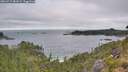 ./images/calvert/foggy-cove/20260719/foggy-cove20260719_081002M.jpg