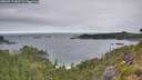 ./images/calvert/foggy-cove/20260719/foggy-cove20260719_082501M.jpg