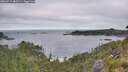 ./images/calvert/foggy-cove/20260719/foggy-cove20260719_083501M.jpg