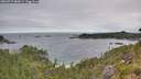 ./images/calvert/foggy-cove/20260719/foggy-cove20260719_084501M.jpg