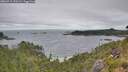./images/calvert/foggy-cove/20260719/foggy-cove20260719_090501M.jpg