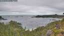 ./images/calvert/foggy-cove/20260719/foggy-cove20260719_091001M.jpg