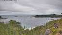 ./images/calvert/foggy-cove/20260719/foggy-cove20260719_092002M.jpg