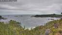 ./images/calvert/foggy-cove/20260719/foggy-cove20260719_094001M.jpg