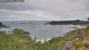 ./images/calvert/foggy-cove/20260719/foggy-cove20260719_095001M.jpg