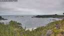 ./images/calvert/foggy-cove/20260719/foggy-cove20260719_095501M.jpg