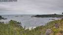 ./images/calvert/foggy-cove/20260719/foggy-cove20260719_100001M.jpg