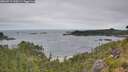 ./images/calvert/foggy-cove/20260719/foggy-cove20260719_100501M.jpg