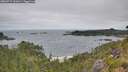 ./images/calvert/foggy-cove/20260719/foggy-cove20260719_101001M.jpg