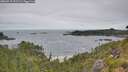 ./images/calvert/foggy-cove/20260719/foggy-cove20260719_101501M.jpg