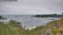 ./images/calvert/foggy-cove/20260719/foggy-cove20260719_102501M.jpg