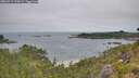 ./images/calvert/foggy-cove/20260719/foggy-cove20260719_105002M.jpg