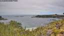 ./images/calvert/foggy-cove/20260719/foggy-cove20260719_112501M.jpg