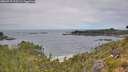 ./images/calvert/foggy-cove/20260719/foggy-cove20260719_113501M.jpg