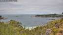 ./images/calvert/foggy-cove/20260719/foggy-cove20260719_115501M.jpg