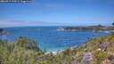 ./images/calvert/foggy-cove/20260719/foggy-cove20260719_133002M.jpg