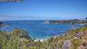 ./images/calvert/foggy-cove/20260719/foggy-cove20260719_133501M.jpg