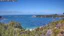 ./images/calvert/foggy-cove/20260719/foggy-cove20260719_134001M.jpg