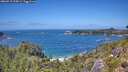 ./images/calvert/foggy-cove/20260719/foggy-cove20260719_134501M.jpg