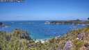 ./images/calvert/foggy-cove/20260719/foggy-cove20260719_135001M.jpg