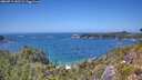 ./images/calvert/foggy-cove/20260719/foggy-cove20260719_142502M.jpg