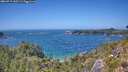 ./images/calvert/foggy-cove/20260719/foggy-cove20260719_143501M.jpg