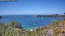 ./images/calvert/foggy-cove/20260719/foggy-cove20260719_144501M.jpg